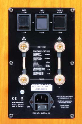 T+A Solitaire. Клеммная панель